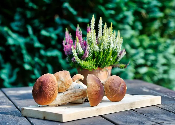 Dom Pod Strzecha Na Kaszubach Prázdninový dům *