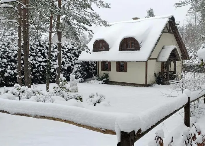 Prázdninový dům Dom Pod Strzecha Na Kaszubach *